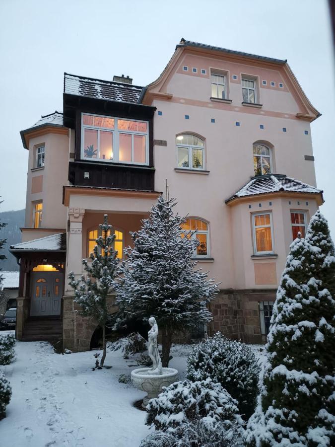 Villa Federer Dolni Zalezly Exteriér fotografie